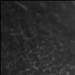 【音楽評】ゆず